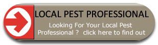 Local Pest Professional  